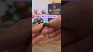 보청기 베터리 교체방법 #굿모닝보청기 강릉점 #보청기 #보청기가격 #보청기추천#보청기약#강릉보청기 #보청기급여제품 #보청기지원금