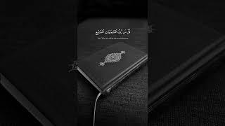 Beautiful Quranic Vibes heart touching short #quran #quran  recitation