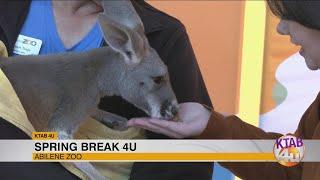 Wild Days Returns to Abilene Zoo for Spring Break 2025