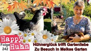 Hühnerglück trifft Gartenliebe Teil 3: Meikes Hühnerhaltung in Baden-Württemberg - HAPPY HUHN E242