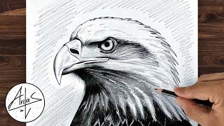 How To Draw A EAGLE  | Pencil Drawing Tutorial