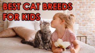 10 Best Cat Breeds For Kids You Don't Want To Miss