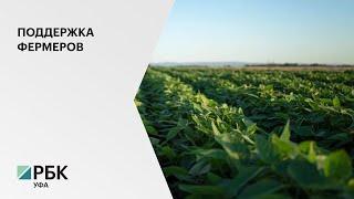 125 млн руб. выделят власти РБ на поддержку фермеров и сельхозкооперативов в 2021 году