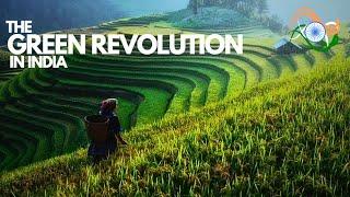 The Green Revolution in India | Transforming Agriculture and Food Production (1960s)