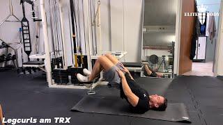 Legcurls am TRX - Anleitung durch Personal Trainer #beinbeuger