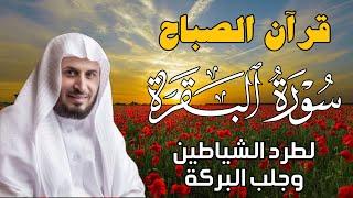 قرآن الصباح | سورة البقرة لجلب الرزق وحفظ المنزل بإذن الله | بصوت الشيخ  سعد الغامدي