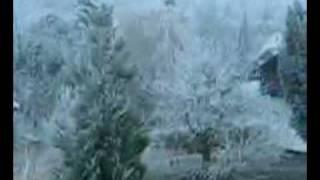 Schatthausen Winter Wonderland