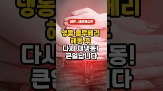 냉동 블루베리 해동후 재냉동 반복되면 좋은거 먹고도 배탈납니다⁉️ #1분건강정보 #건강정보 #냉동블루베리효능 #항산화 #블루베리재냉동