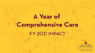 A  year of comprehensive care at the Veterinary Medical Center