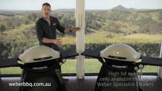 Which Weber® Q™ is right for you?