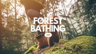 Forest Bathing 101