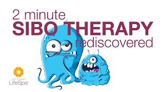 2 Minute SIBO Therapy Rediscovered | John Douillard's LifeSpa