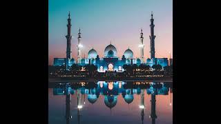 world's most beautiful mosque ️ #speciousnature #shorts #sheikhzayedmosque