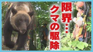 命の危険　クマと対峙するハンター「最低賃金にもならない」　民間頼みの駆除　北海道