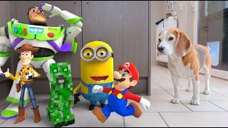 Animations in REAL LIFE vs Funny Dogs  |