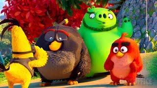 Die Angry Birds und die Schweine tun sich zusammen! | Angry Birds 2: Der Film | German Deutsch Clip