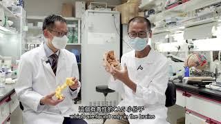 亨廷頓舞蹈症的致病元兇 EP3 | The Culprit of Huntington's Disease