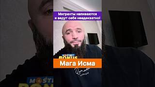 Мигранты накидываются и ведут себя недостойно! — Мага Исмаилов поддержал Макса Дивнича.