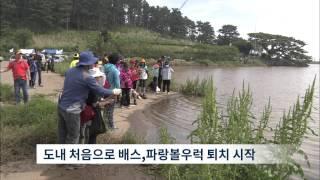 제주MBC 리포트 생태계 교란 심각 권혁태