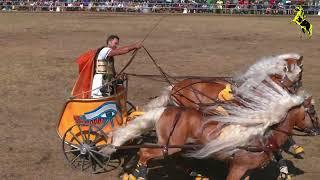 Quadriga beim Ponyfest in Wenigenauma mit Claus Luber