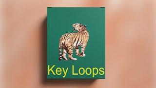 [FREE] DOWNLOAD KEY SAMPLE PACK/LOOP KIT 2022 (+8Royalty Free) | VOL:14