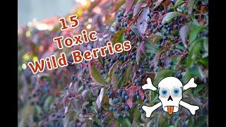 15 Toxic Berries