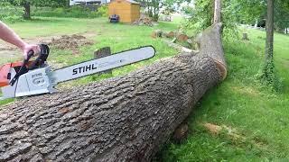 Bucking a large oak tree with a stihl ms 880 32" bar