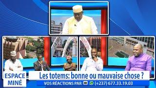 LES TOTEMS: BONNE OU MAUVAISE CHOSE ? ESPACE MINÉ DU 06 MARS 2025