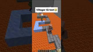 Villager IQ TEST in Minecraft!  #shorts