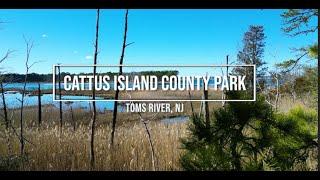 Coastal Drone Reel (Incredible Views) | Cattus Island County Park