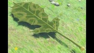 Legend of Korok Leaf