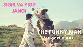 The Funny Man vs  Cow Fight HQ| Sigir va Yigit jangi