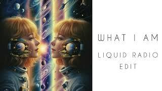 What I Am (Liquid Radio Edit) (deep downtempo psybient organic house) Klartraum - Liquid Dreams II