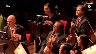 Familieconcert: De Kindertemmer met Jacques Vriens als verteller