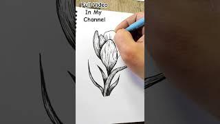 How to Draw Beautiful Crocus Flower