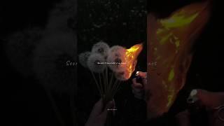 Wanna be yours️~aesthetic lyrics~ || Hazyskies || #youtube #shortsfeed #shorts #youtubeshorts #song