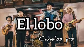 EL LOBO - Canelos Jrs [corridos 2021]