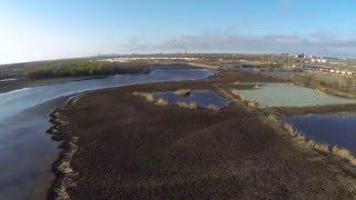 Above Big Marsh