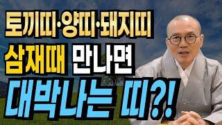 "토끼띠·양띠·돼지띠 삼재에 만날 대박 나는 띠는?!"  [운곡스님의 점찰이야기]