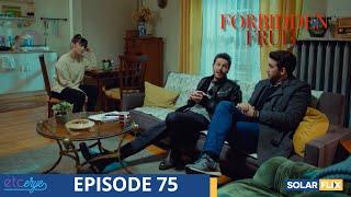 Forbidden Fruit Episode 75 | FULL EPISODE | TAGALOG DUB | Turkish Drama