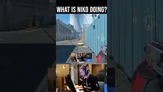 What is NiKo doing?!?