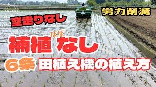 【6条田植え機】空走りなし　手植えの少ない植え方　額縁植えはしません#農業 #水稲 #田植え