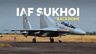 IAF Sukhoi Su-30MKI AKA Backbone