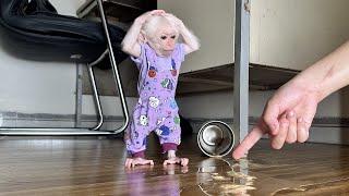 Lala was curious and naughty, spilled coffee so she worriedly hide from Mom!