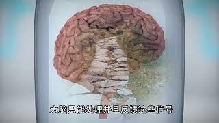 十大悖論：缸中大腦｜國語｜普通話