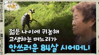 [로망다큐 '가족+' 33회②] 젊은 나이에 귀농해 고생하는 며느리가 안쓰러운 84살 시어머니