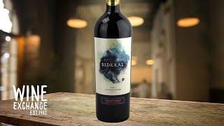 This Chilean Cabernet is Vinous Media’s Highest-Scoring Sub $20 Red