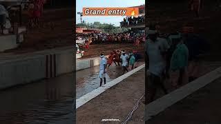  TEAM NANDALIKE  MULKI ARASU KAMBALA ️‍ SRIKANTH BHAT  GRAND ENTRY #KAMBALA#VIRALSHORTS#2024