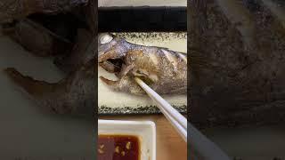 【真鶴】超新鮮！朝どれ魚定食！！海女食堂#shorts #グルメ