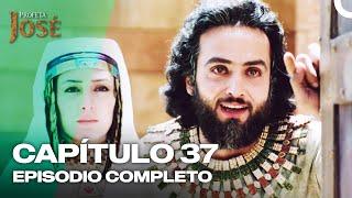 José El Profeta Capítulo 37 | Doblaje Español | Joseph The Prophet